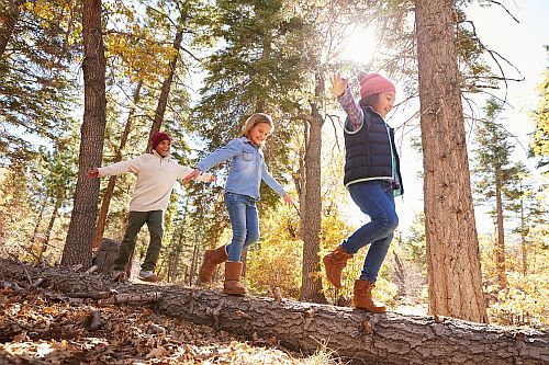 children crossing a log hiking in the woods georgian bay teen and children counselling